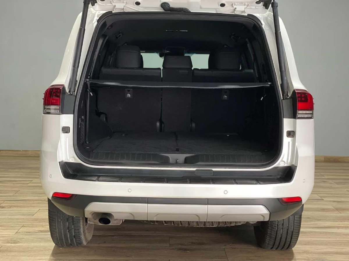 Toyota Land Cruiser 300 2022 (10)