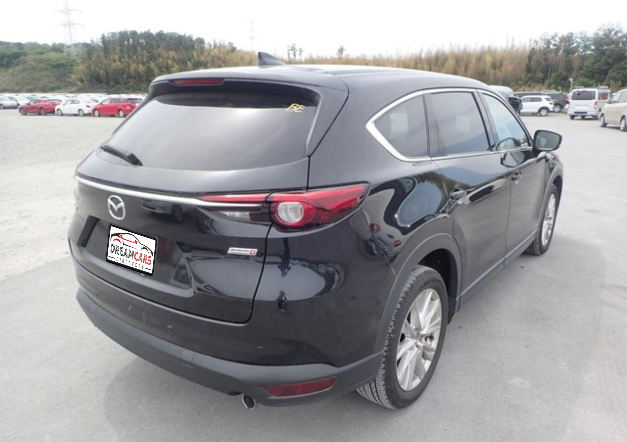 Mazda CX-8 2018 (2)