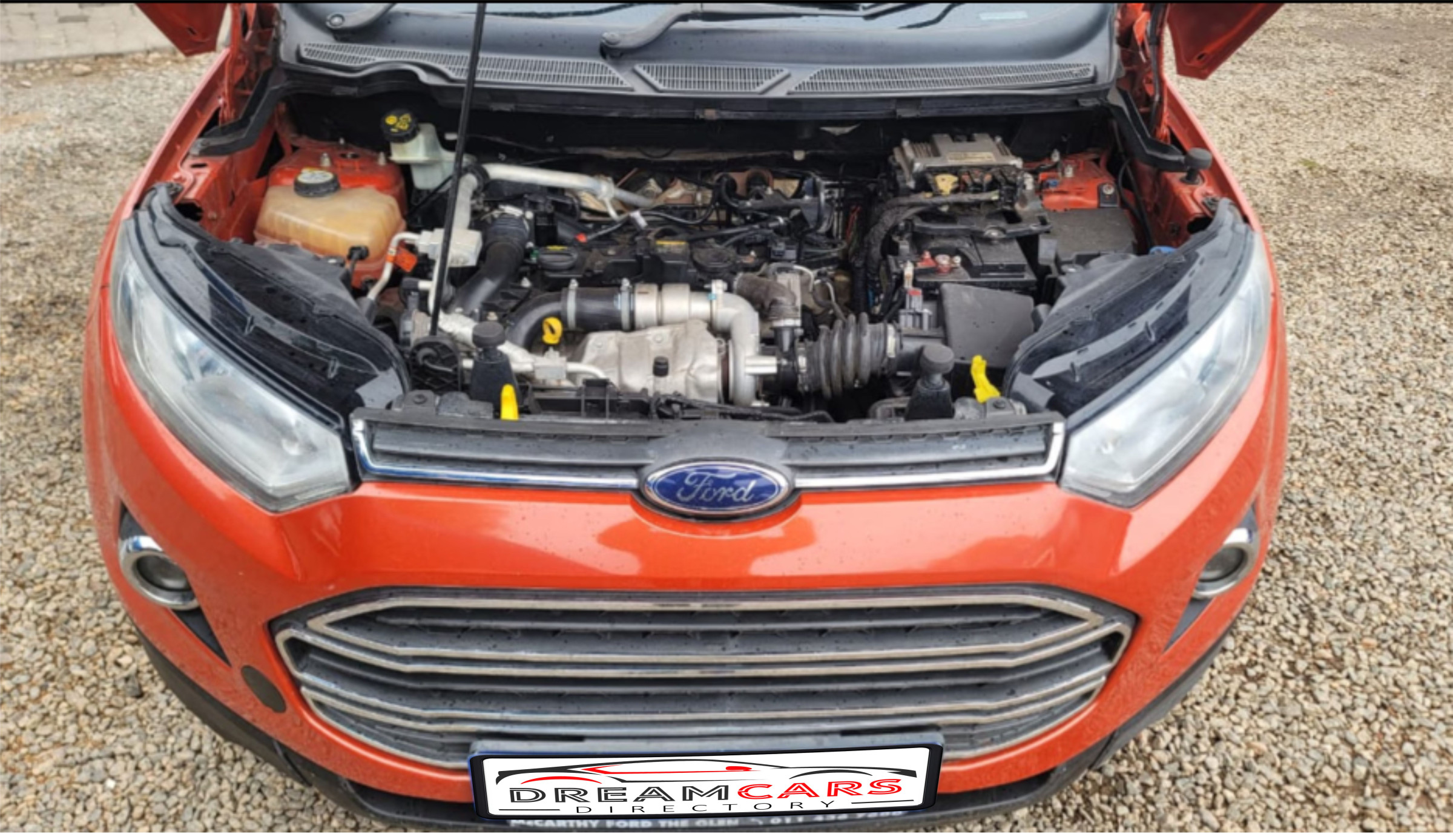 Ford EcoSport 2014 (2)